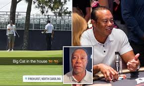 Everyone is so happy now "FINALLY Tiger Woods has been banned from PGA